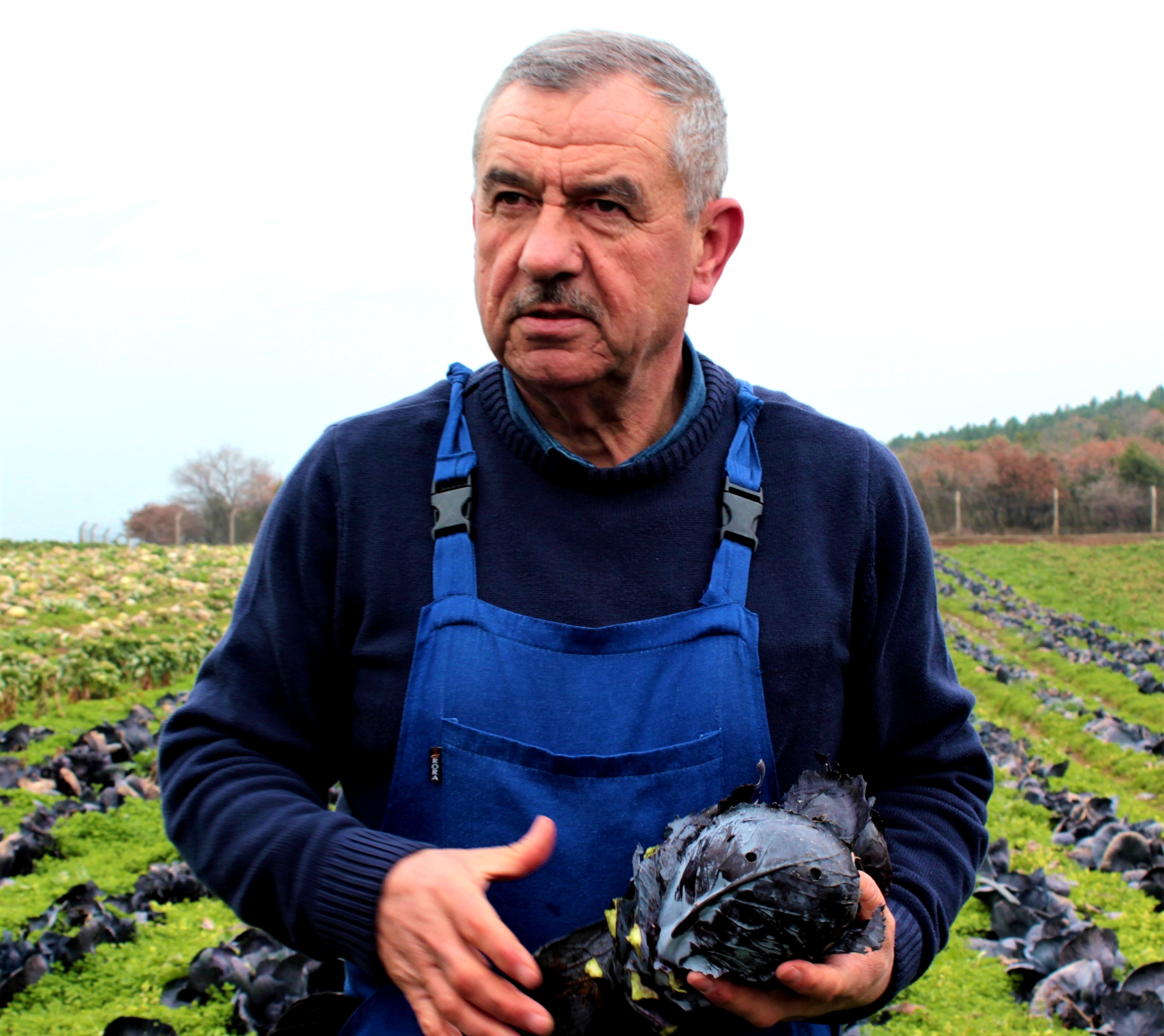 Pestisit Zehirlenmeleri Artıyor!.